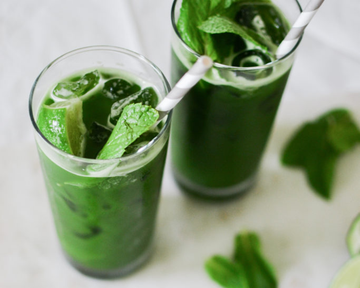 Mint Matcha Iced Tea Recipe