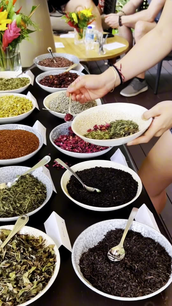 A Beginners Guide to Tea | Tea for Beginners | Art of Tea