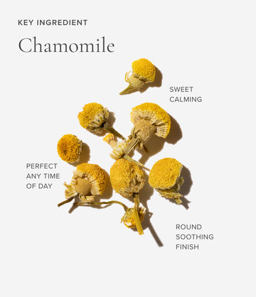 Chamomile ingredient close-up – Art of Tea