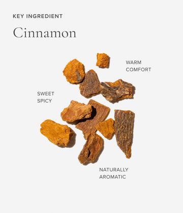 Cinnamon ingredient close-up – Art of Tea