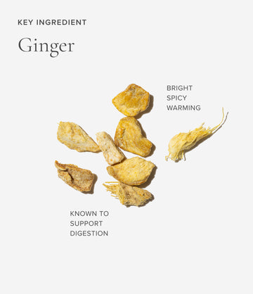 Ginger ingredient close-up – Art of Tea