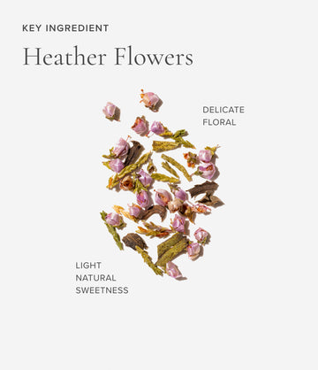 Heather flowers ingredient close-up – Art of Tea