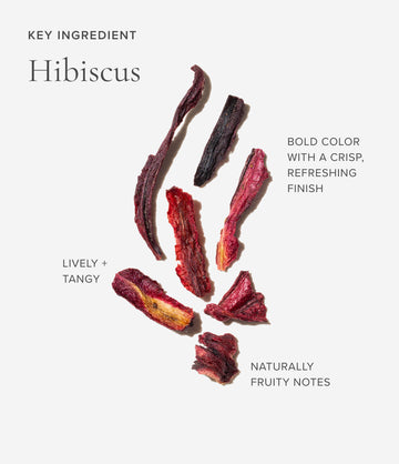 Hibiscus ingredient close-up – Art of Tea