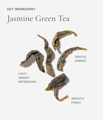 Jasmine green tea ingredient close-up – Art of Tea