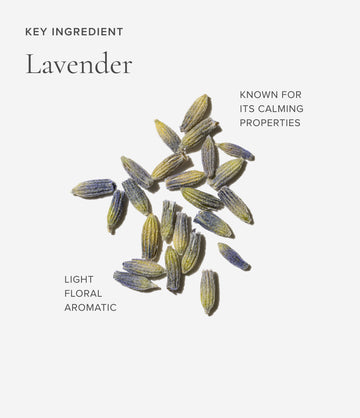 Lavender ingredient close-up – Art of Tea